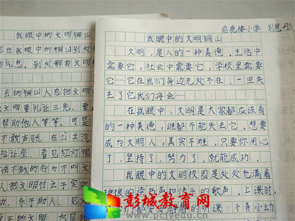 小学征文范文（29篇）Bwin必赢