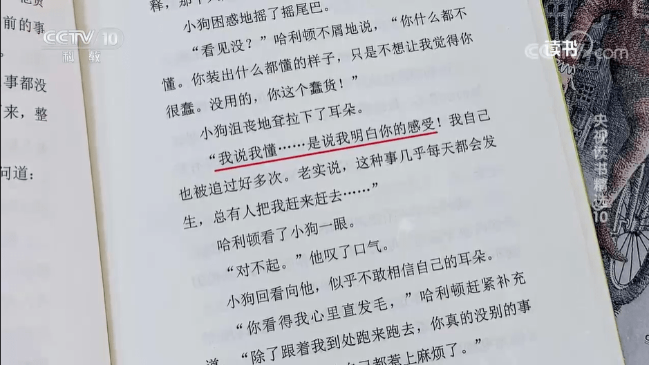 Bwin必赢春节时间哪本外邦儿童文学最火？央视和百班千人都正在推选它！(图3)