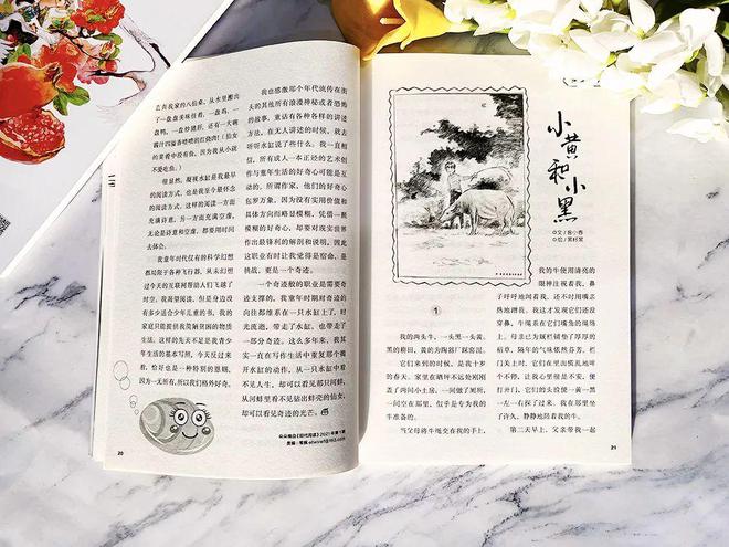 儿Bwin必赢童文学刊物不要乱买！认准这套经典 给孩子足量阅读滋补！(图19)