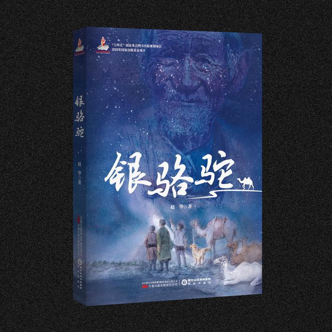 长篇儿童小说《银骆驼》：民间视角的航空航天创业史(图2)